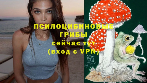 сатива Лихославль