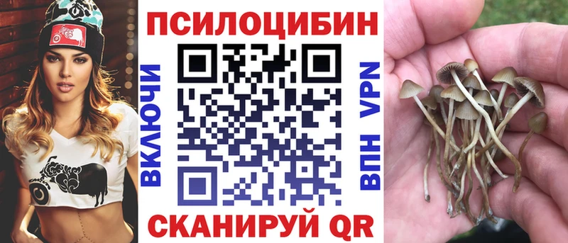 Купить где  Сызрань  Псилоцибиновые грибы Magic Shrooms 